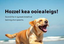 Köpekler Neden Hızlı Hızlı Nefes Alır?