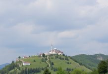 Köpeklerde Yüksek Tansiyon